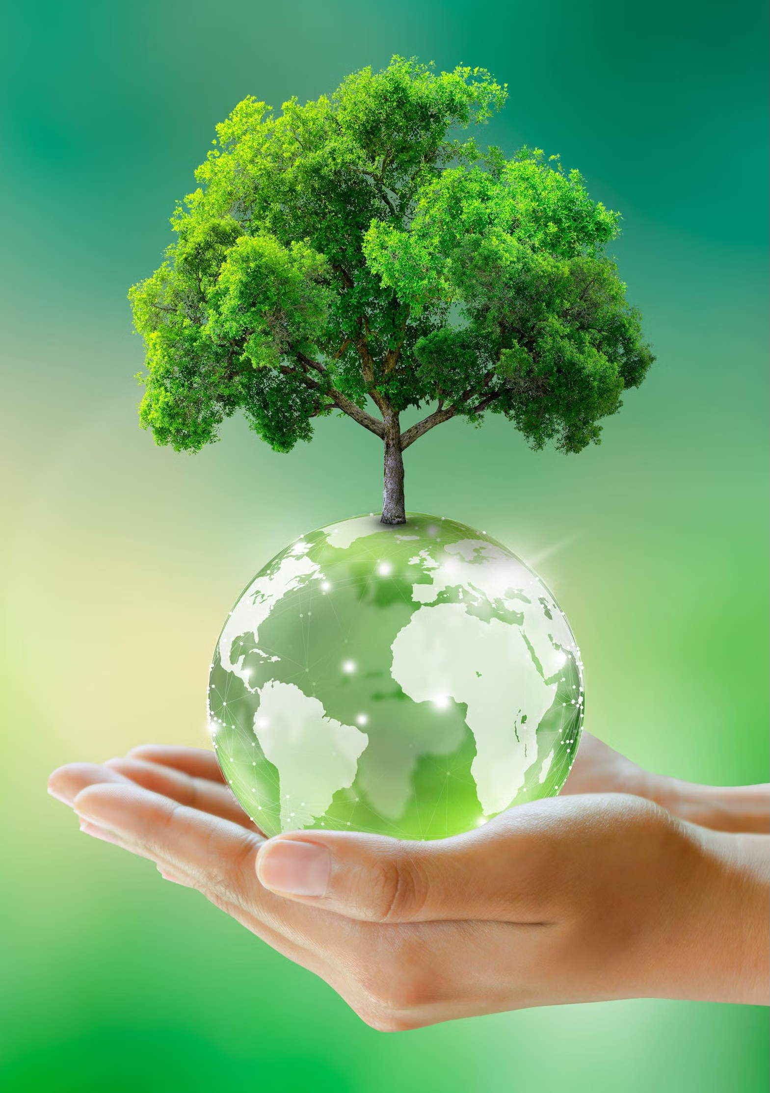 03095146-be664927-f9db-4f45-9ece-695d9468279 03095146 be664927 f9db 4f45 9ece 695d9468279